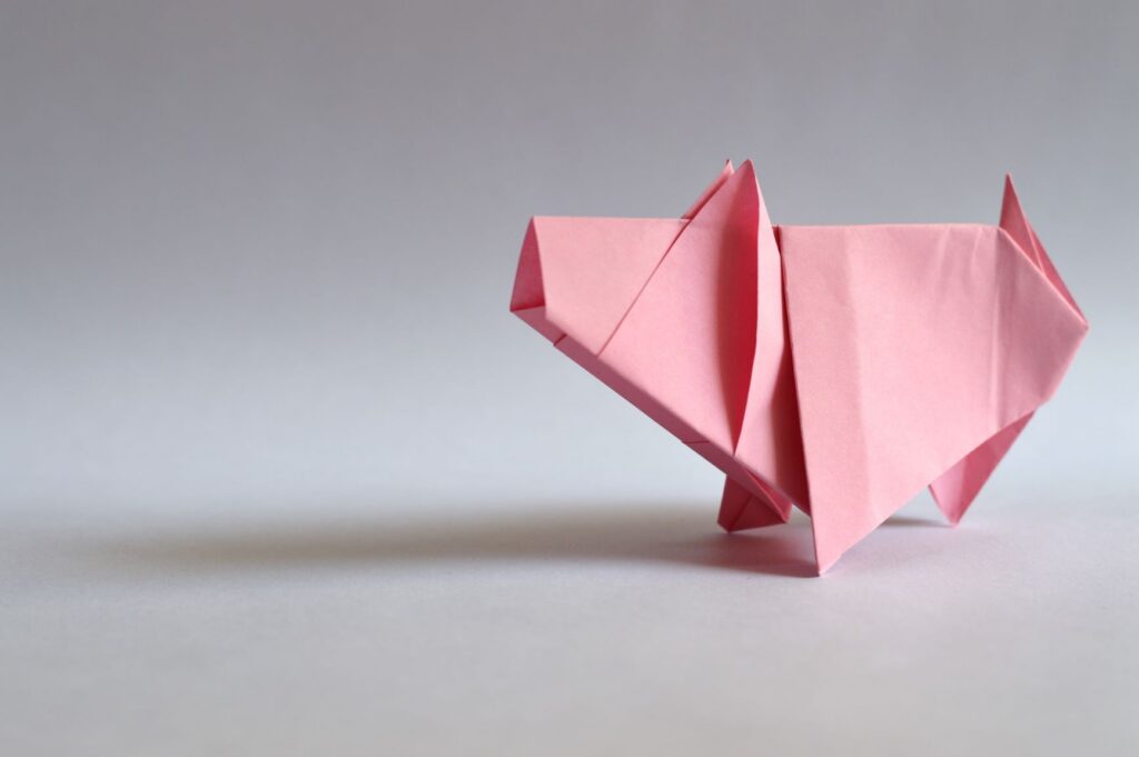 Year of the PIg