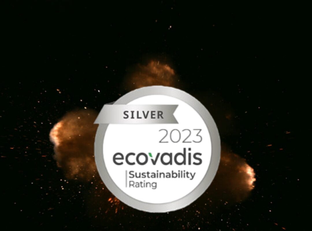 EcoVadis SILVER